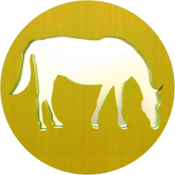 新生児から診察可能