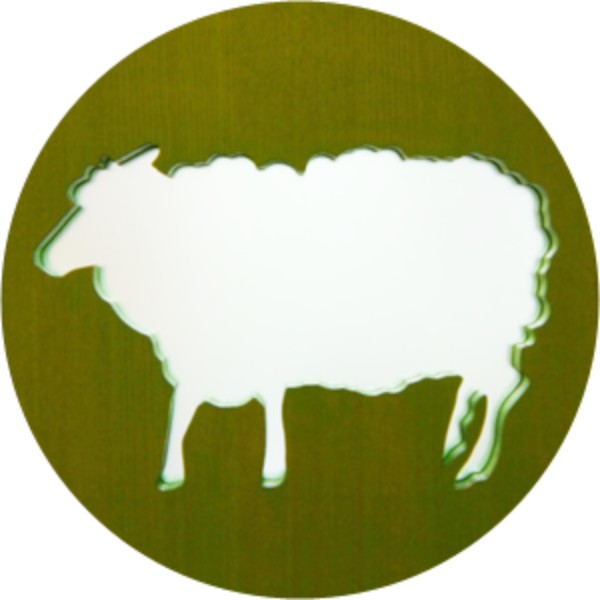 各種予防接種に対応